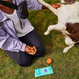 Wet Ones Wipes for Hands & Face, Travel Wipes Pack for Sensitive Skin(20 Count each)