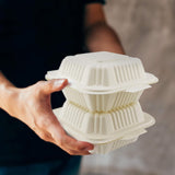 [250 PACK] 5 inch Clamshell Take Out Food Containers To Go Boxes for Salad, Cake